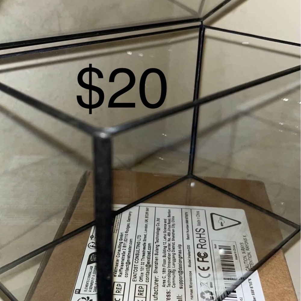 NCYP Glass Terrariums with Black Metal Frames